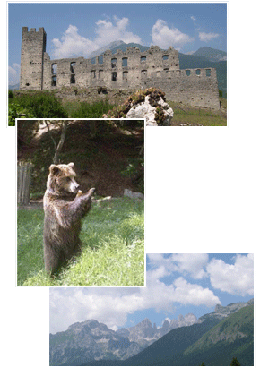 Orso a Spormaggiore